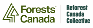 Forests Canada Logo